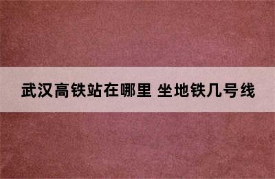 武汉高铁站在哪里 坐地铁几号线